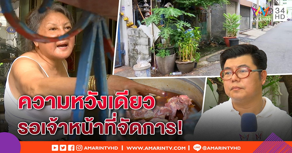 ป้าแสงระวี ต้มไก่ 12 โล สยบลือทารุณหมา - เพื่อนบ้านระอา เห่าดัง หวังจนท.เคลียร์ (คลิป)