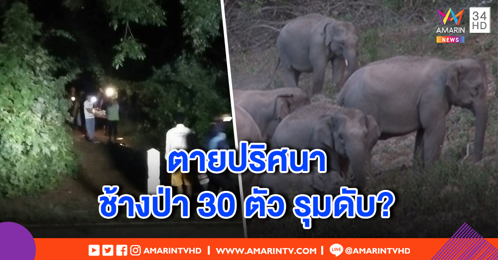 หนุ่มใหญ่ออกหาเห็ดโคน พบตายปริศนากลางป่า คาดถูกโขลงช้างป่ากว่า 30 ตัวรุมทำร้าย