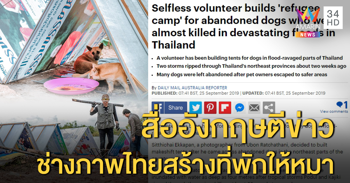 ทั่วโลกประทับใจ! ช่างภาพชาวไทยสร้างบ้านให้หมาหนีน้ำท่วมอุบลฯ
