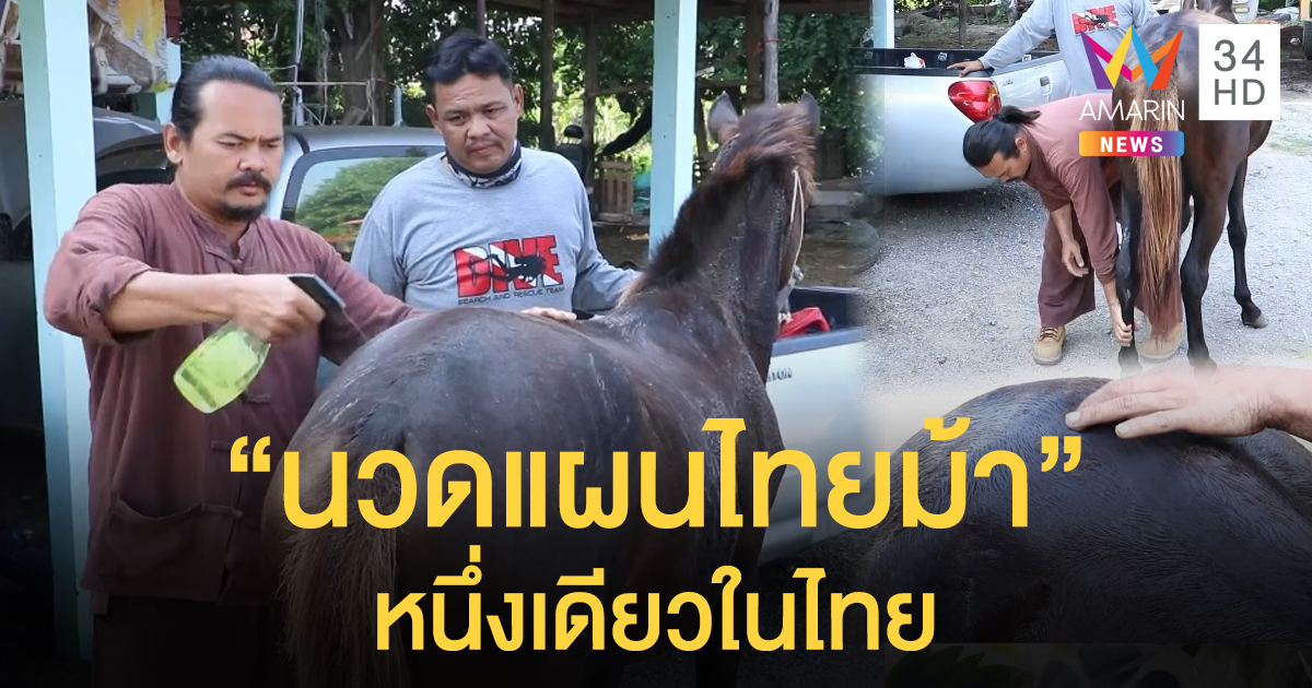 อดีตตำรวจผันตัวทำอาชีพ "นวดแผนไทยม้า" ลูกค้าให้การต้อนรับของแปลกเจ้าแรกในไทย