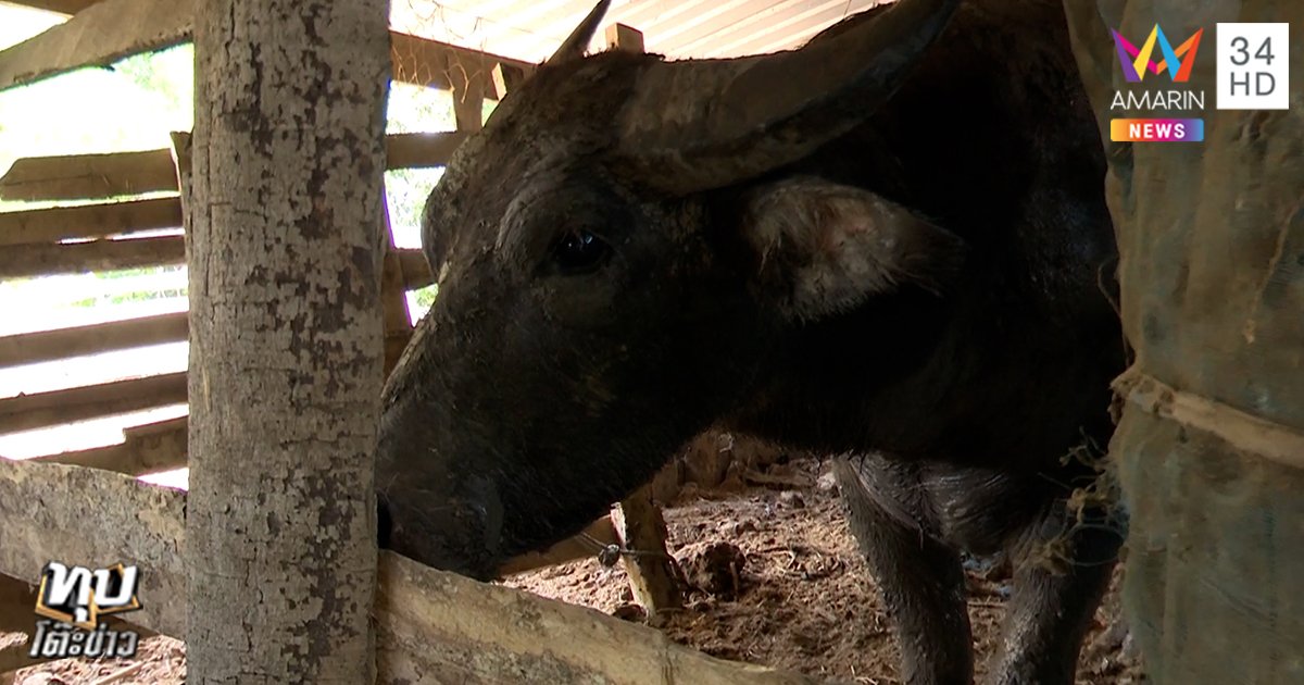 avchd-1080-25f.00_38_05_03.st