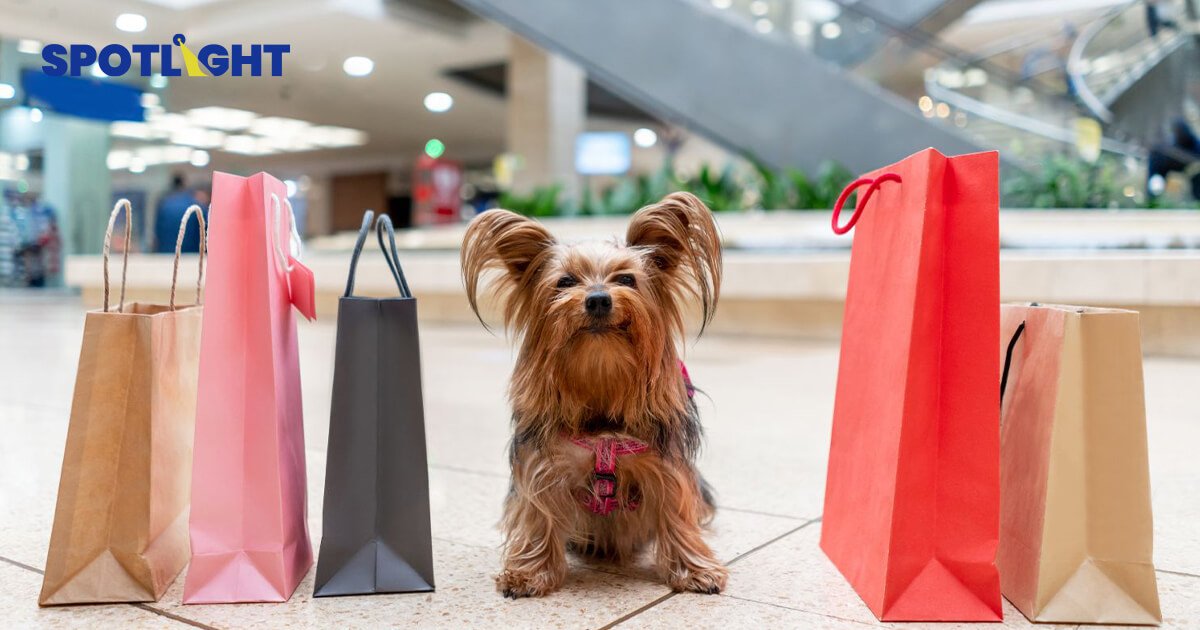 Pet Friendly Mall เทรนด์ใหม่ห้างสรรพสินค้า ตอบโจทย์ไลฟ์สไตล์คนรักสัตว์