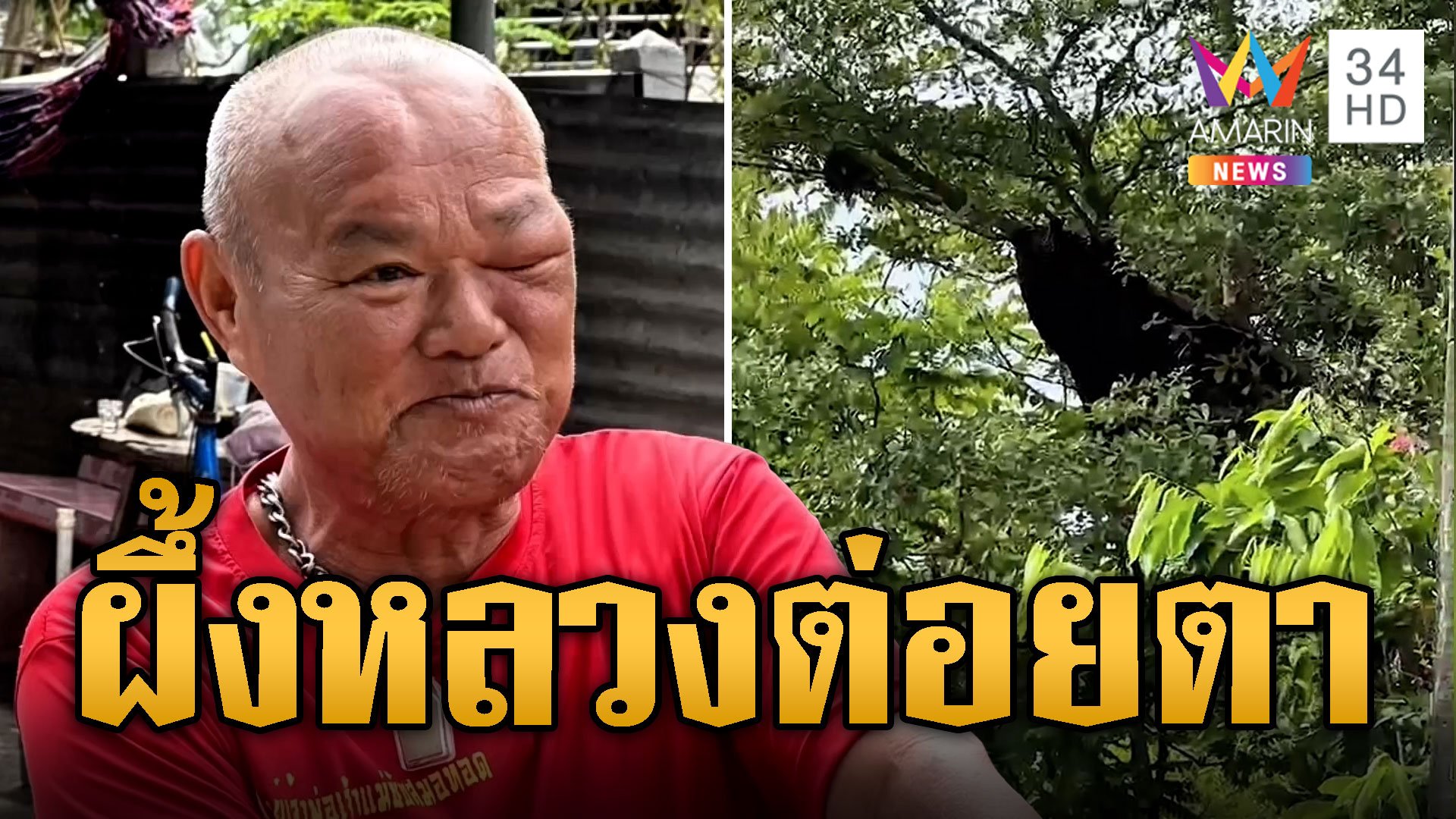 หนุ่มใหญ่ซวย! ก่อไฟทอดปลาควันระคายผึ้งหลวง โดนรุมต่อยตาปูด  | ข่าวอรุณอมรินทร์ | 7 พ.ย. 67 | AMARIN TVHD34