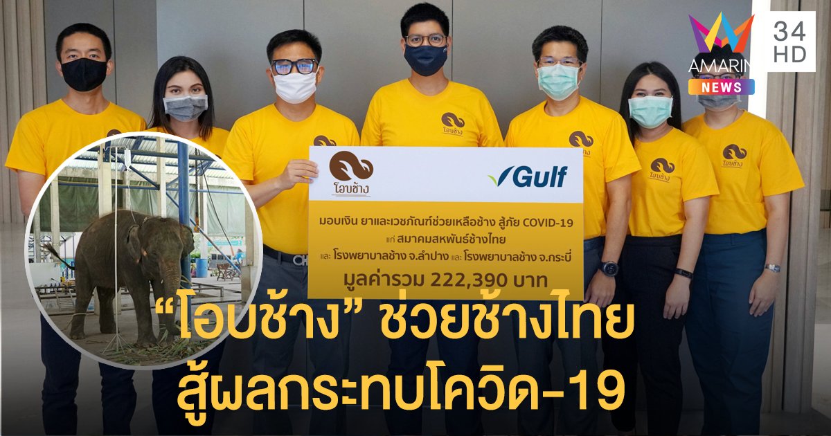กัลฟ์ ร่วมบริจาคภายใต้โครงการ "โอบช้าง" ช่วยเหลือช้างไทย ต่อสู้ผลกระทบวิกฤตโควิด-19
