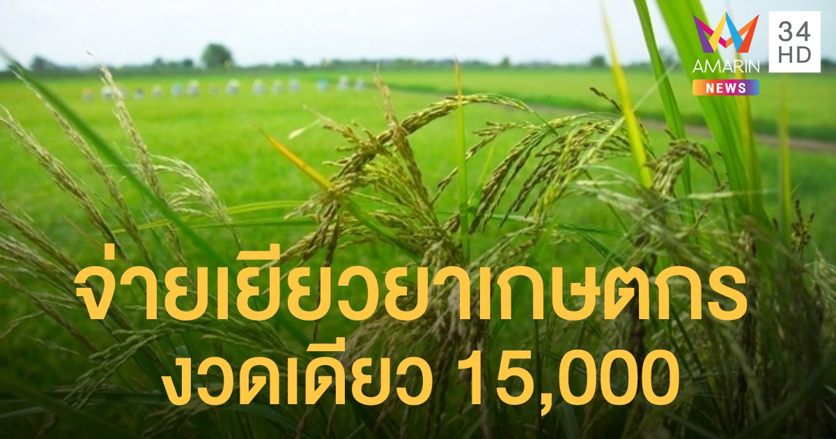 "คลัง" อนุมัติ "เยียวยาเกษตรกร" วิกฤตโควิด-ภัยแล้ง 15,000 จ่ายเป็นก้อน งวดเดียวจบ