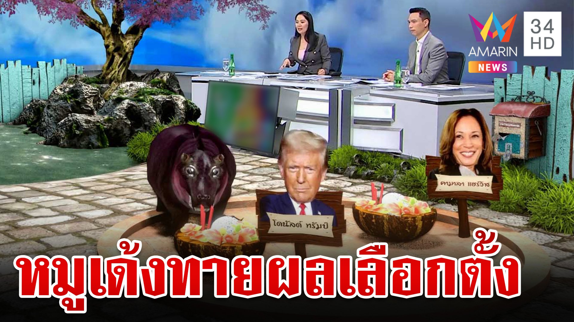 หมูเด้งไม่ตกเทรนด์! เสี่ยงทายผลเลือกตั้งสหรัฐฯ | ทุบโต๊ะข่าว | 5 พ.ย. 67 | AMARIN TVHD34