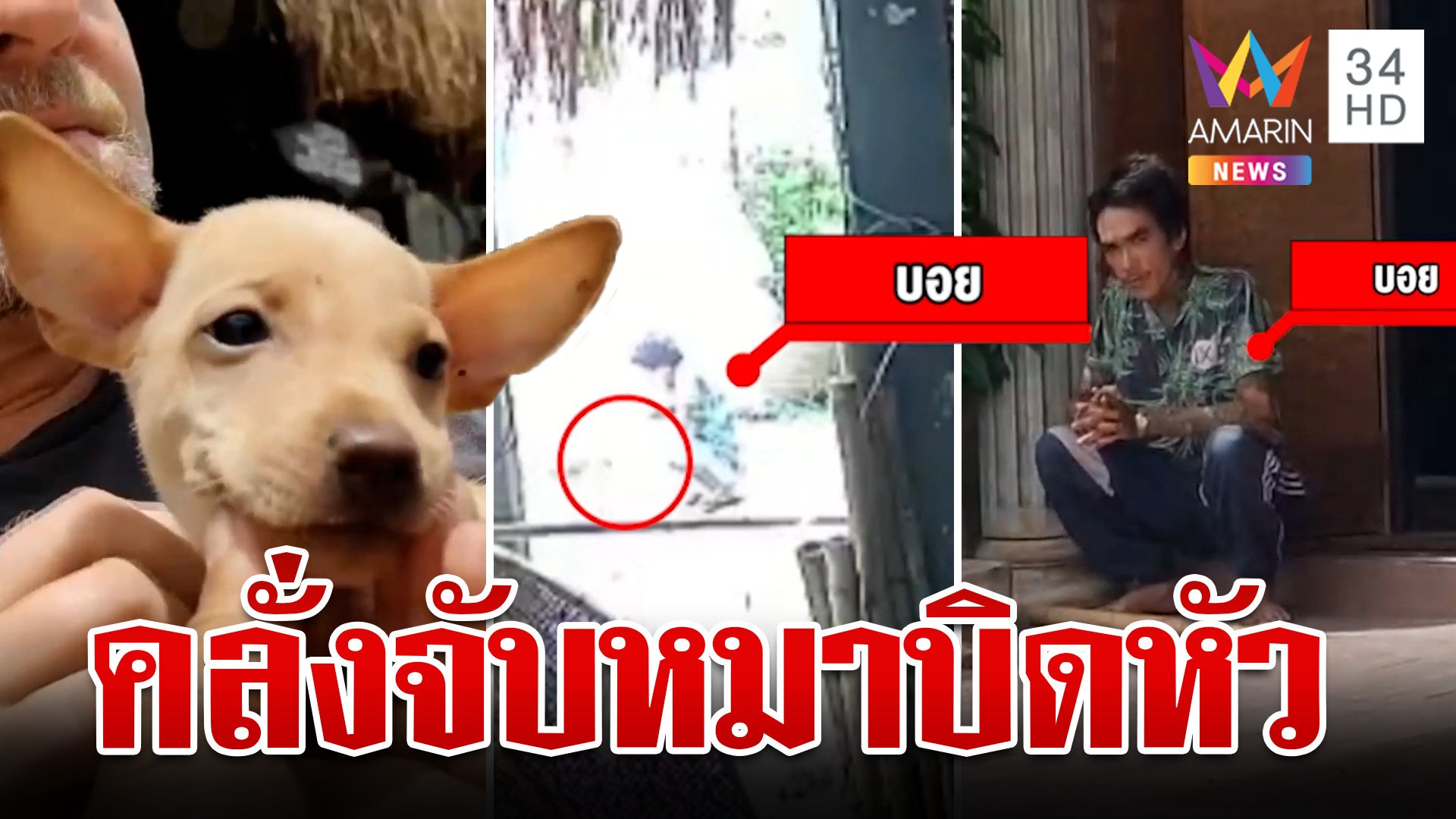 ชาวบ้านสุดทน!ไอ้คลั่งจับหมาบิดหัวร้องโหยหวน ลั่นเมืองไทยทำอะไรก็ได้ | ทุบโต๊ะข่าว | 11 ก.ค. 67 | AMARIN TVHD34