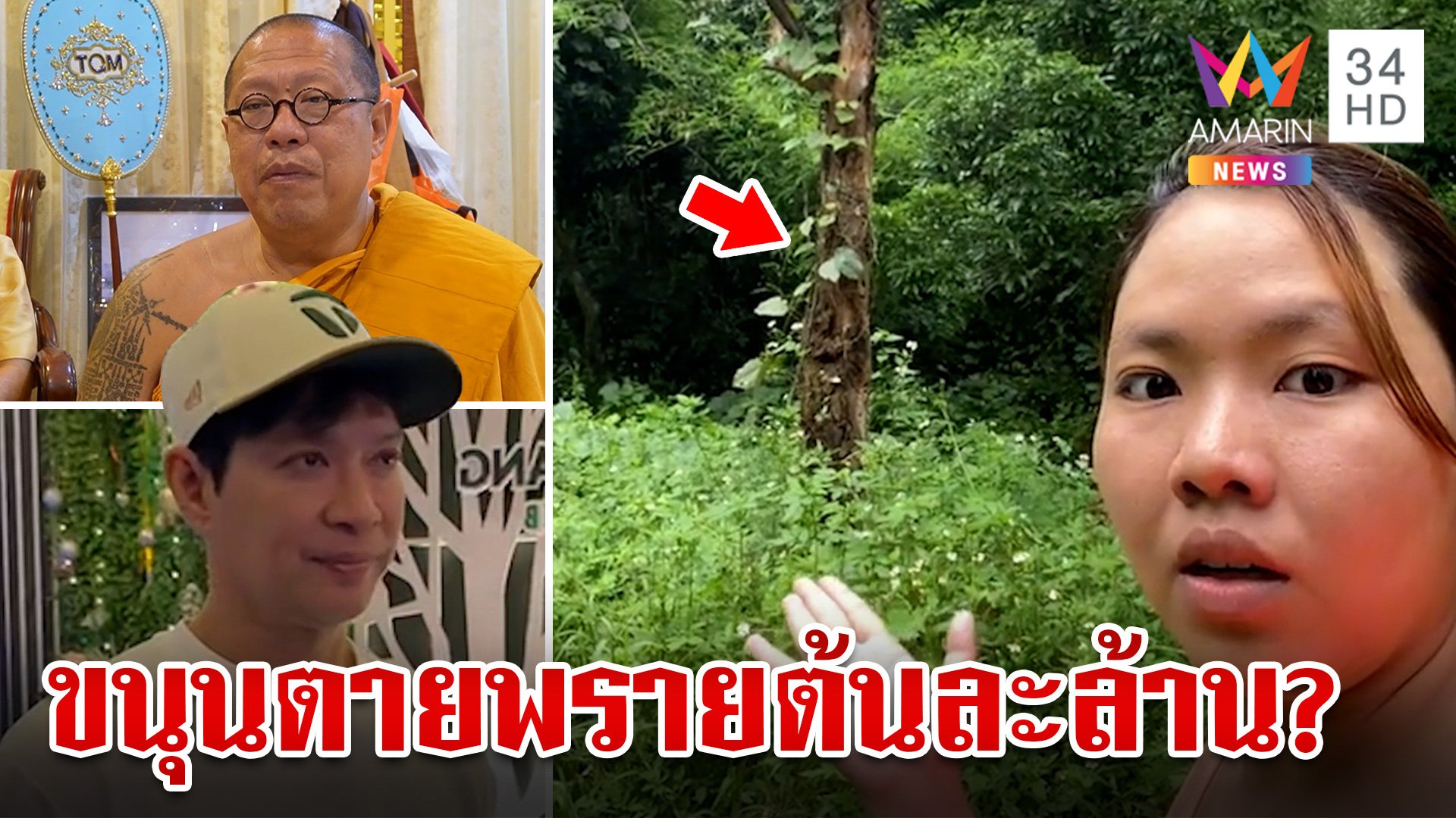 ตะลึง!สาวรีวิว"ต้นขนุนตายพราย" ขายได้ต้นละล้าน ฟังผู้รู้เฉลยทำไมแพง | ทุบโต๊ะข่าว | 16 ก.ค. 67 | AMARIN TVHD34