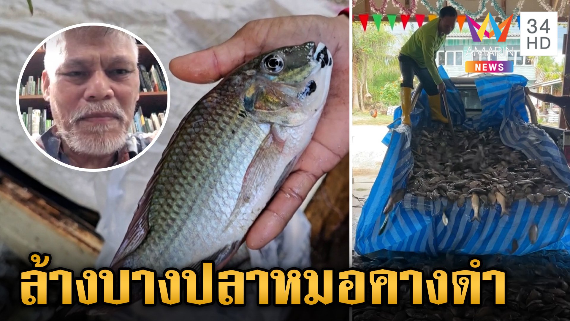 เปิดเหตุผลล่า "ปลาหมอคางดำ" วายร้ายระบบนิเวศระบาดหนัก 11 จังหวัด | ข่าวเย็นอมรินทร์ | 9 ก.ค. 67 | AMARIN TVHD34