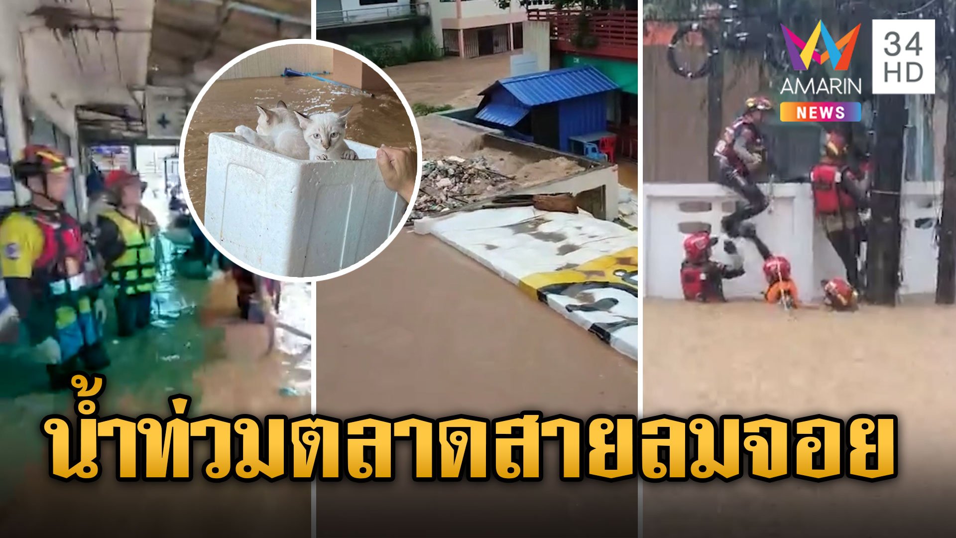 น้ำท่วมตลาดสายลมจอย "อ.เฉลิมชัย" ลั่น! โหดเหี้ยมที่สุดในรอบ 10 ปี | ข่าวอรุณอมรินทร์ | 11 ก.ย. 67 | AMARIN TVHD34