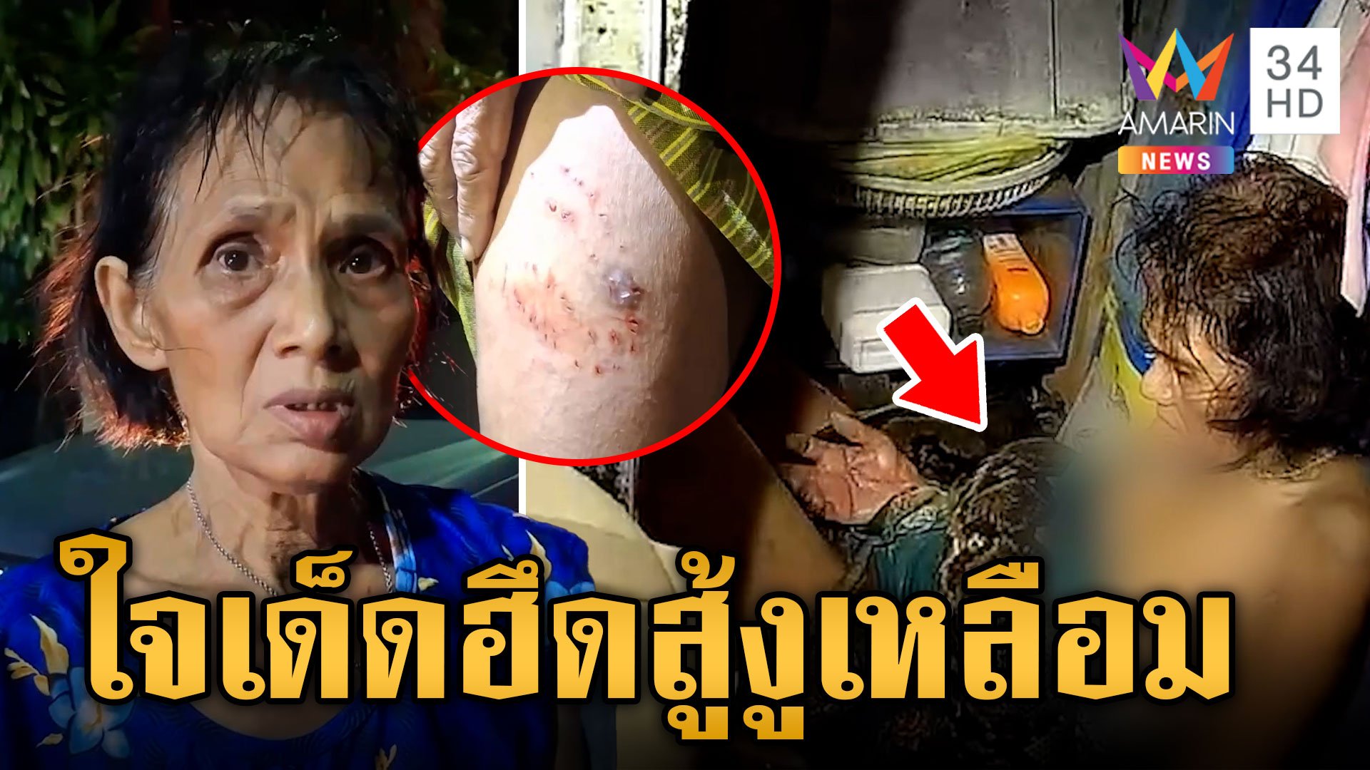 ป้าใจเด็ดฮึดสู้งูรัดนานกว่า 2 ชั่วโมง เผยนาทีหวิตขิต  | ข่าวเย็นอมรินทร์ | 18 ก.ย. 67 | AMARIN TVHD34