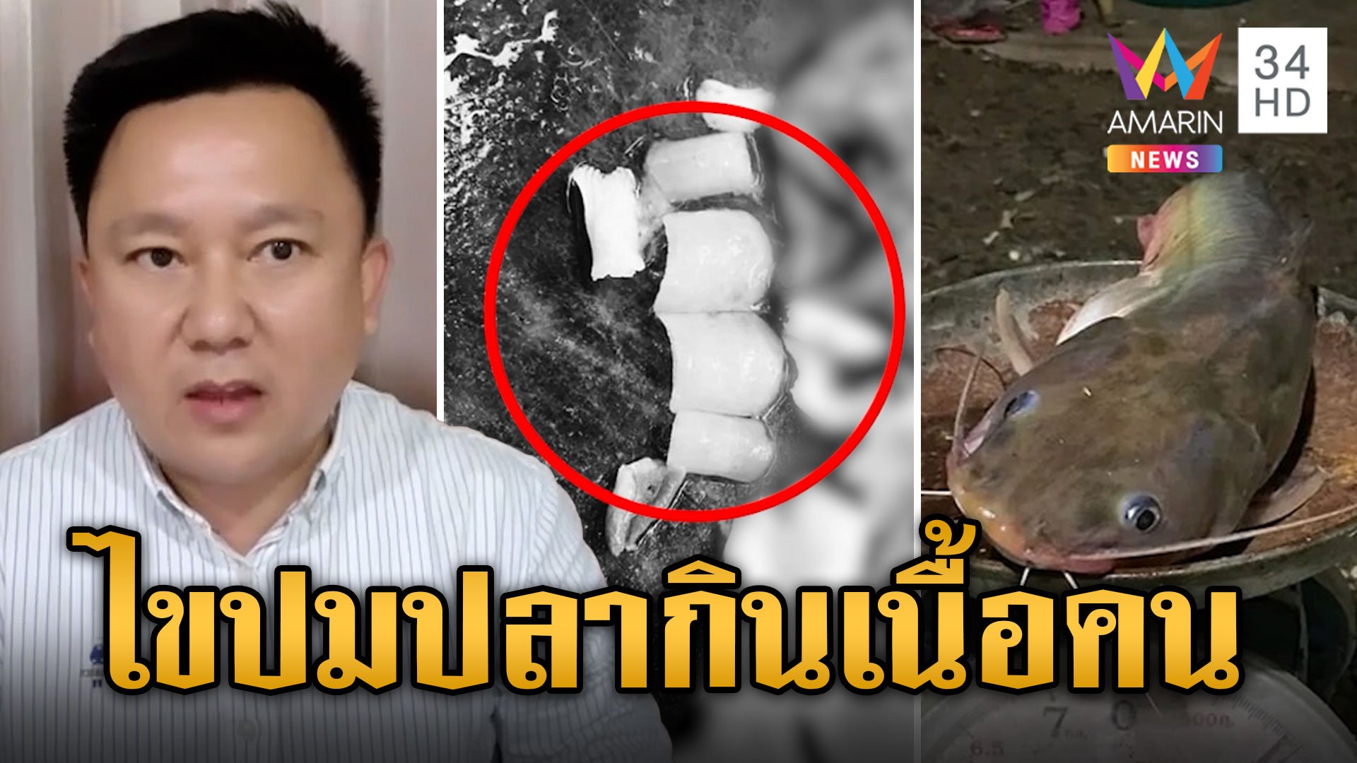 หมอหมูไขปริศนา ชิ้นส่วนมนุษย์โผล่ในท้องปลา  | ข่าวเย็นอมรินทร์ | 9 ต.ค. 67 | AMARIN TVHD34