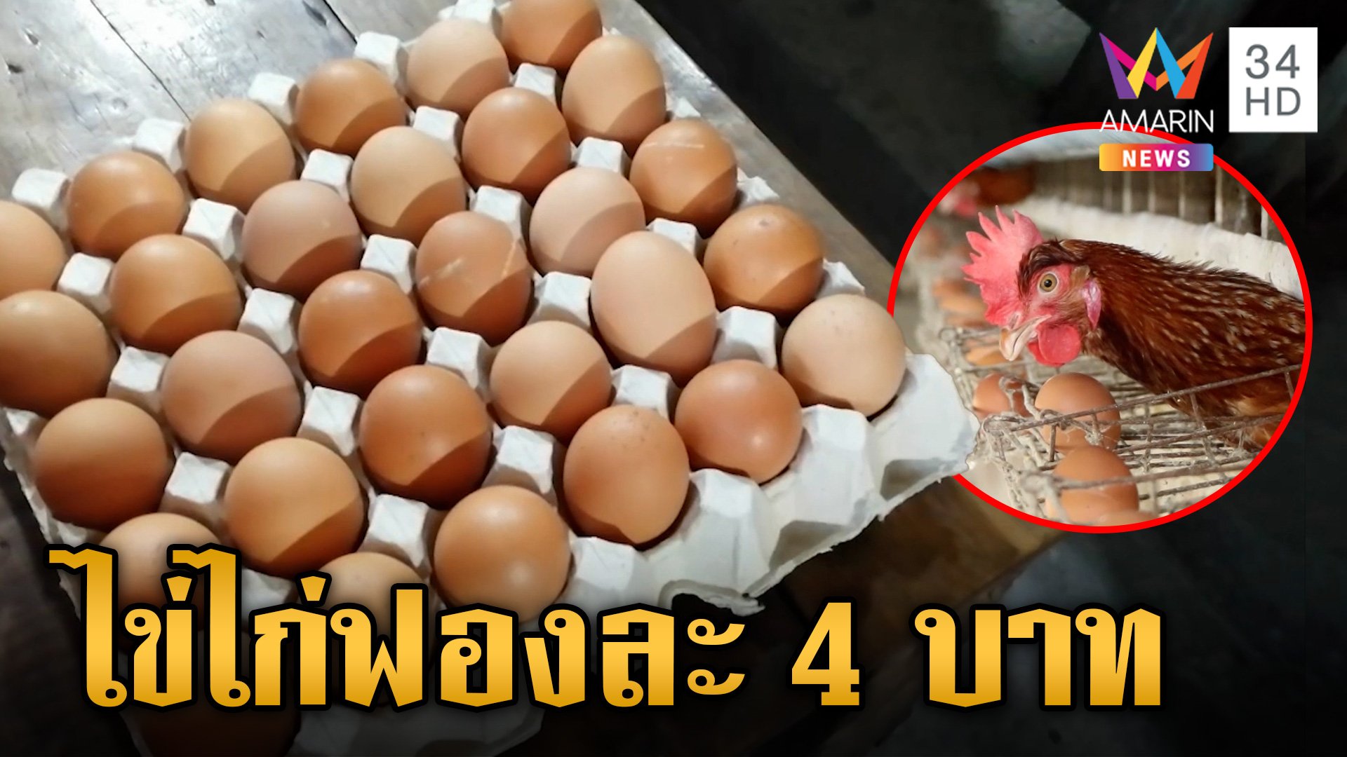 ผู้บริโภคอ่วม! ไข่ขึ้นราคาเป็นฟองละ 4 บาท มีผล 29 พ.ค. 67 | ข่าวเย็นอมรินทร์ | 28 พ.ค. 67 | AMARIN TVHD34