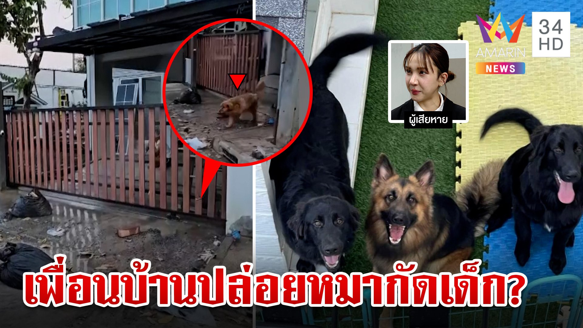 ผวาเพื่อนบ้านปล่อยหมากัดเด็ก หมอฟันโต้ไม่เคยปล่อยตูบแต่มีหลุดบ้าง | ทุบโต๊ะข่าว | 21 มิ.ย. 67 | AMARIN TVHD34