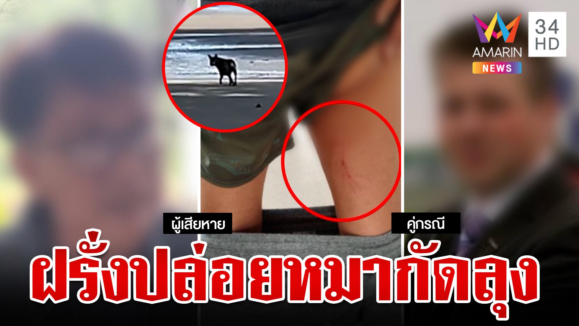 ลุงปั่นจักรยานริมหาด เจอฝรั่งปล่อยหมาไล่กัด ซ้ำชักปืนข่มขู่ | ทุบโต๊ะข่าว | 27 มิ.ย. 67 | AMARIN TVHD34