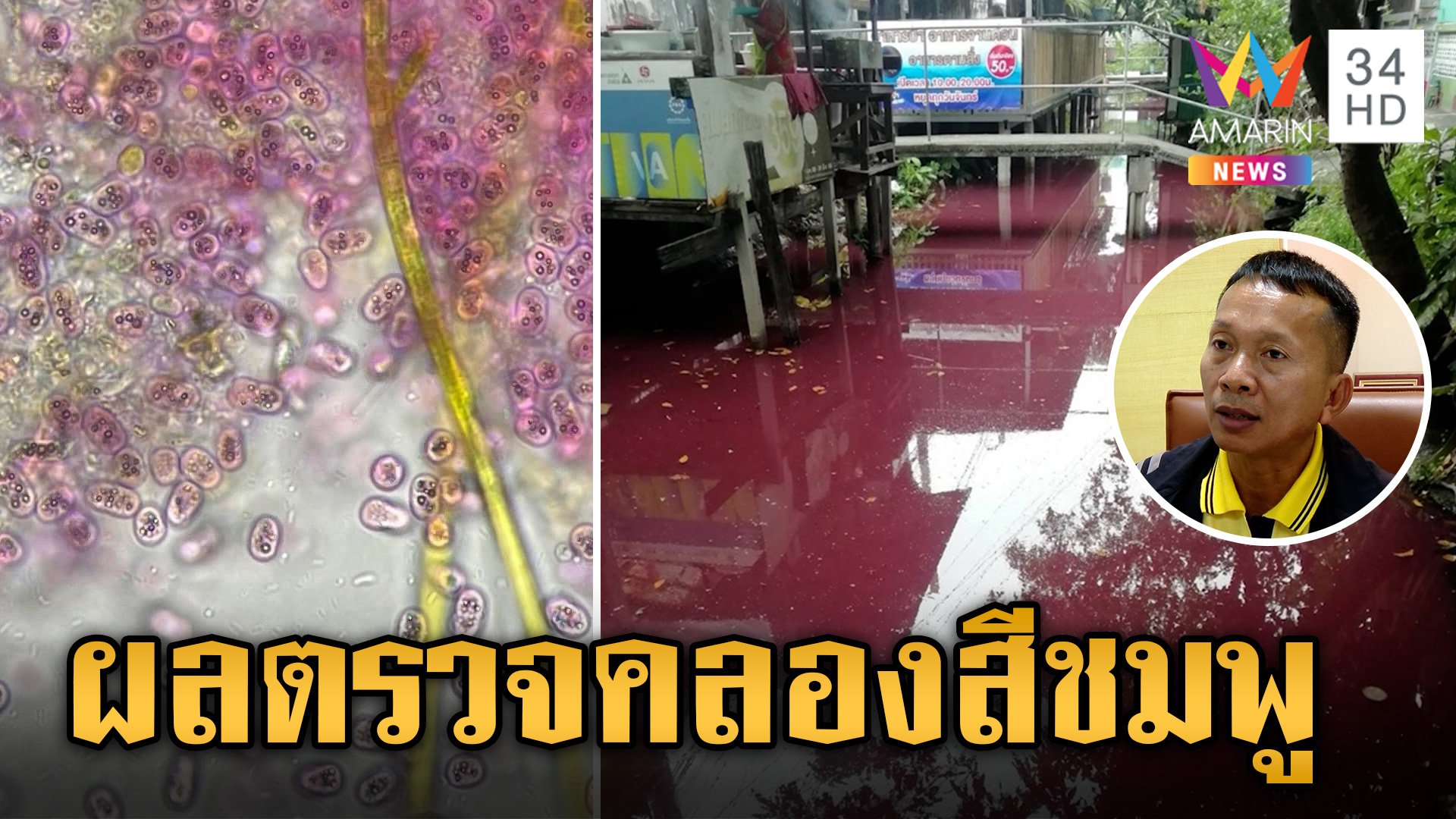 ผงะ! ผลตรวจน้ำจาก "คลองสีชมพู" แบคทีเรียเพียบสุดอันตราย  | ข่าวเย็นอมรินทร์ | 19 ก.พ. 67 | AMARIN TVHD34