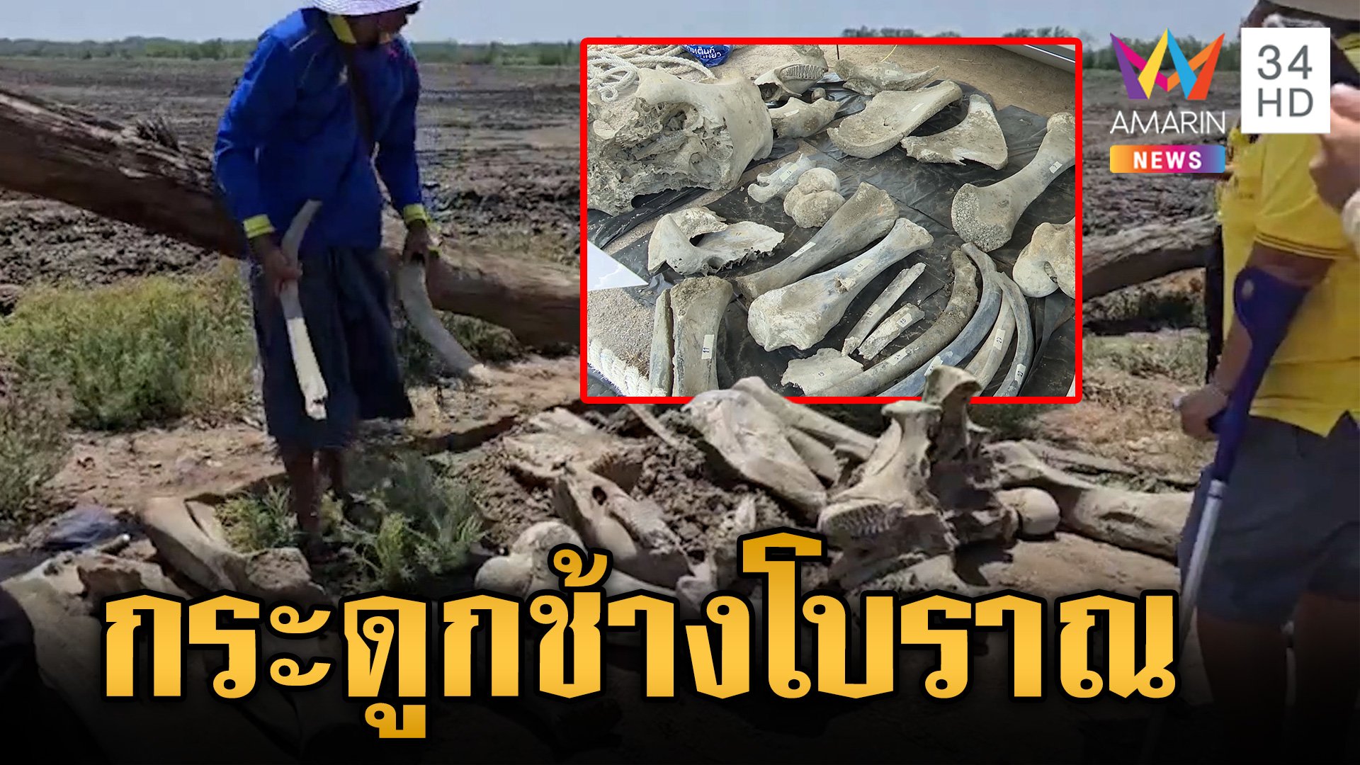 ตะลึง! พบกระดูกช้างโบราณ เชื่ออายุมากกว่า 100 ปี พื้นที่ จ.สมุทรสาคร  | ข่าวเย็นอมรินทร์ | 2 เม.ย. 67 | AMARIN TVHD34