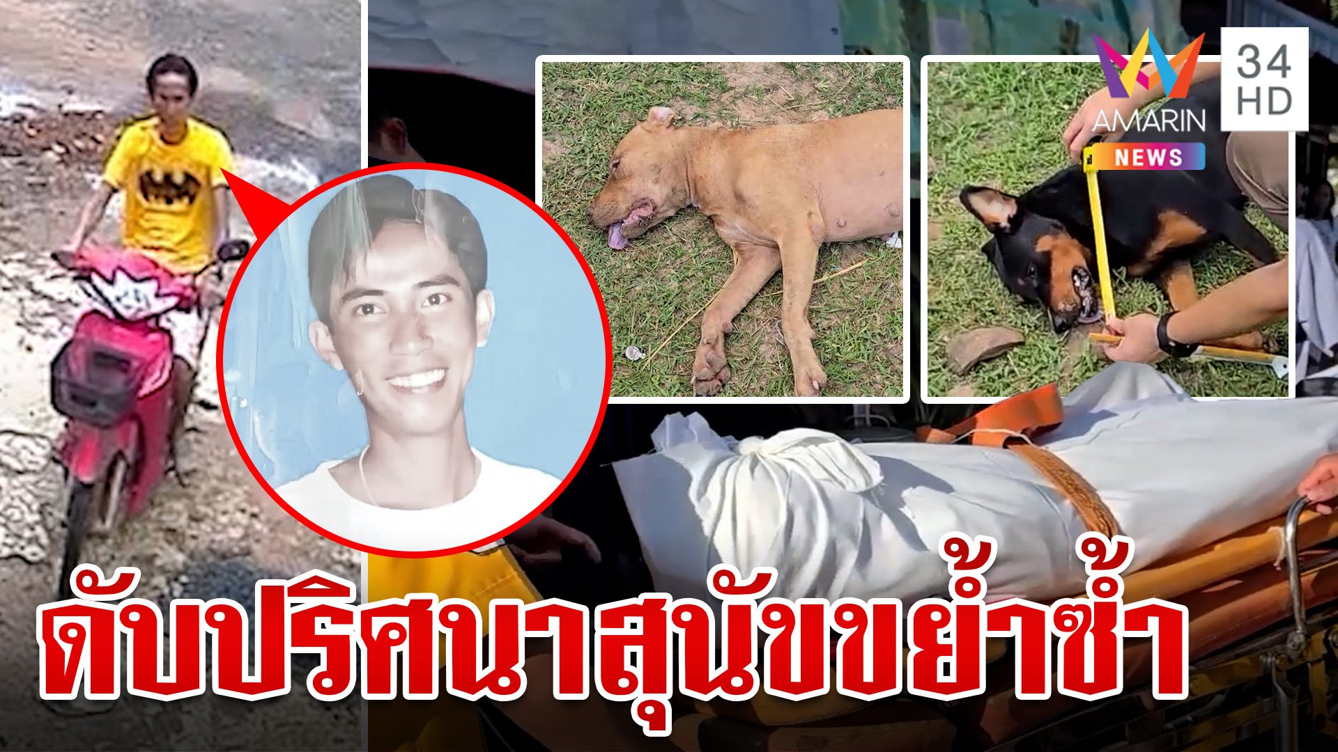 หนุ่มดับปริศนา สุนัขขย้ำศพซ้ำ ตร.เชิญตัวเพื่อนบ้านสอบ | ทุบโต๊ะข่าว | 27 ก.ย. 67 | AMARIN TVHD34