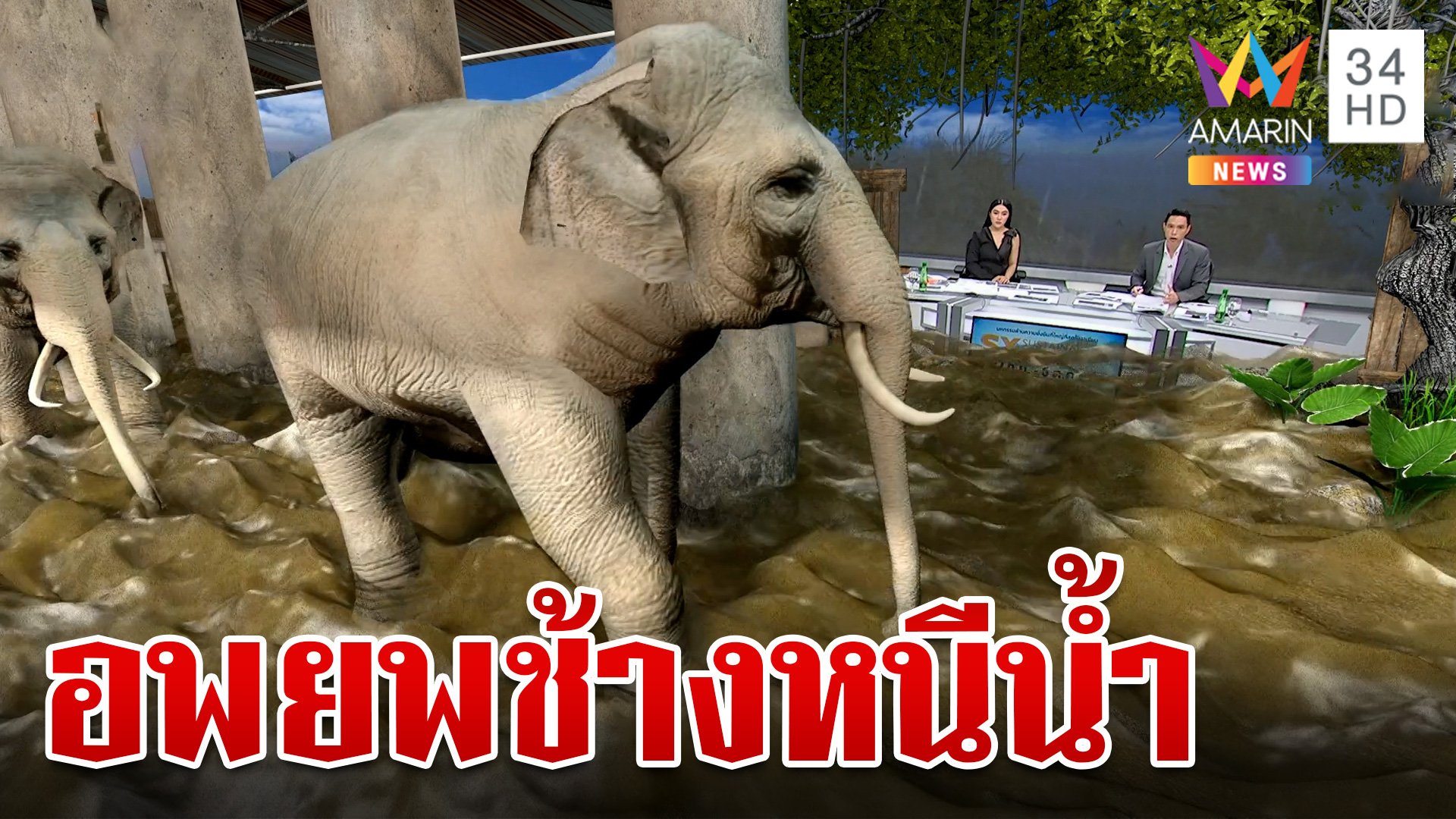 ระทึก! อพยพช้าง 100 เชือกหนีน้ำป่าอุตลุด | ทุบโต๊ะข่าว | 4 ต.ค. 67 | AMARIN TVHD34