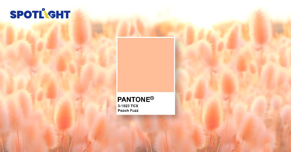 Pantone ประกาศให้สี Peach Fuzz เป็นสีแห่งปี 2024 สะท้อนการอยู่ร่วมกัน