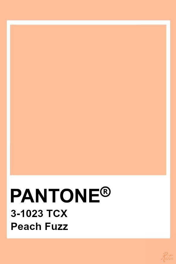 สีPantone ประจำปี 2024 สีPeach Fuzz 13-1023