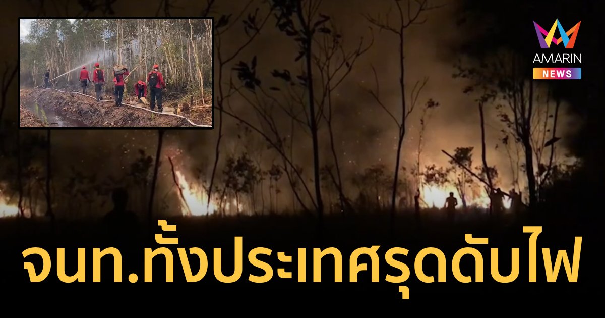 ป่าพรุควนเคร็งไฟลุกไหม้เสียหายเพราะฝีมือมนุษย์