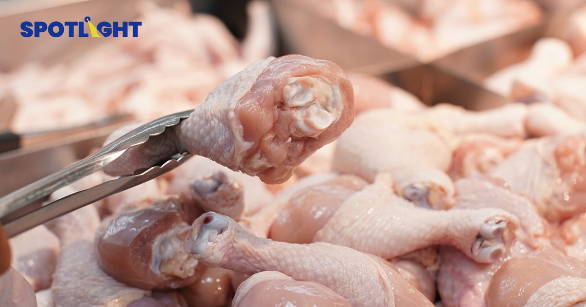 ไทยส่งออกไก่ขึ้นแท่นเบอร์3ของโลก เบอร์ 1 ในเอเชีย อานิสงส์ FTA-RCEP 