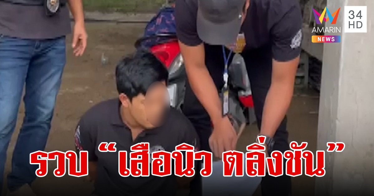 รวบ "เสือนิว ตลิ่งชัน" มือโจรกรรมทุกอย่างที่ขวางหน้า คาที่กบดานกลางสวนปาล์ม 