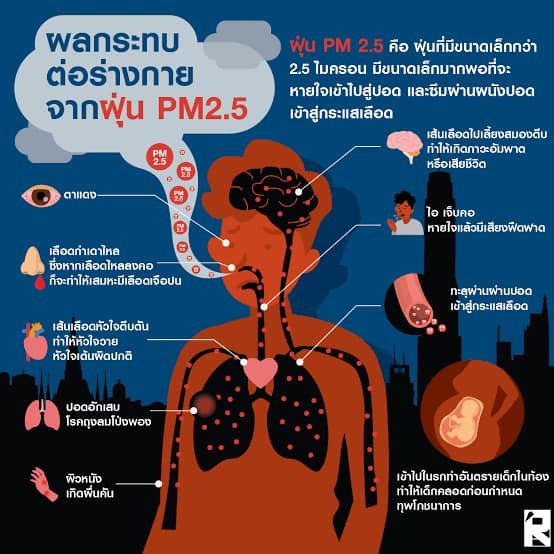 พิษฝุ่น PM2.5 ตายผ่อนส่งของจริง 