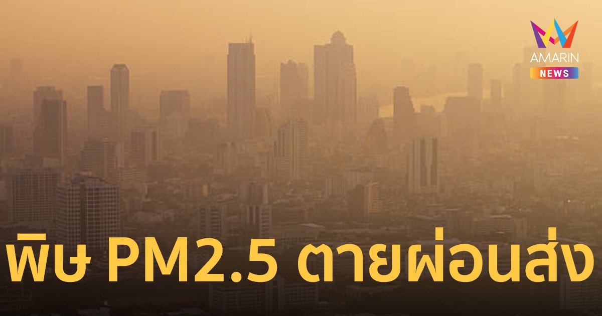 พิษฝุ่น PM2.5 ตายผ่อนส่งของจริง เล็กมากจนไม่ถูกฟอกที่ปอด