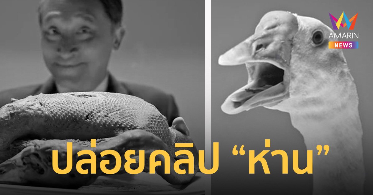 พรรครวมไทยสร้างชาติ ยิงคลิป อย่าให้ใครฆ่า “ห่าน” เพื่ออิ่มเพียงมื้อเดียว