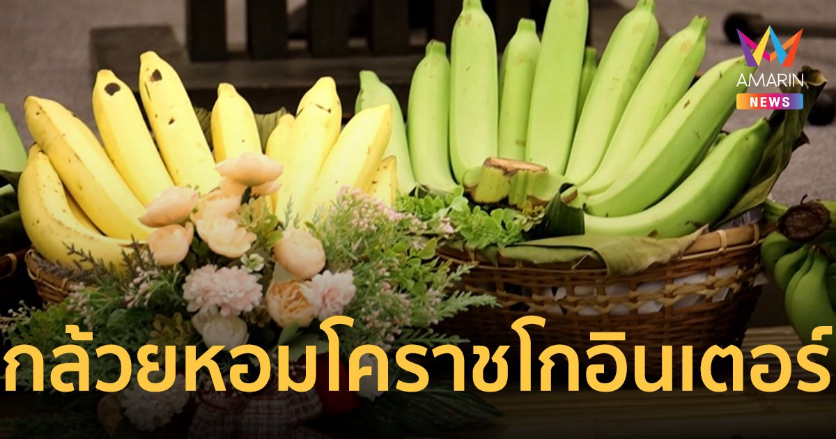 กล้วยหอมทองโคราชโกอินเตอร์ ญี่ปุ่นสั่งซื้อกว่า 5 พันตัน มูลค่ากว่า 100 ล้าน