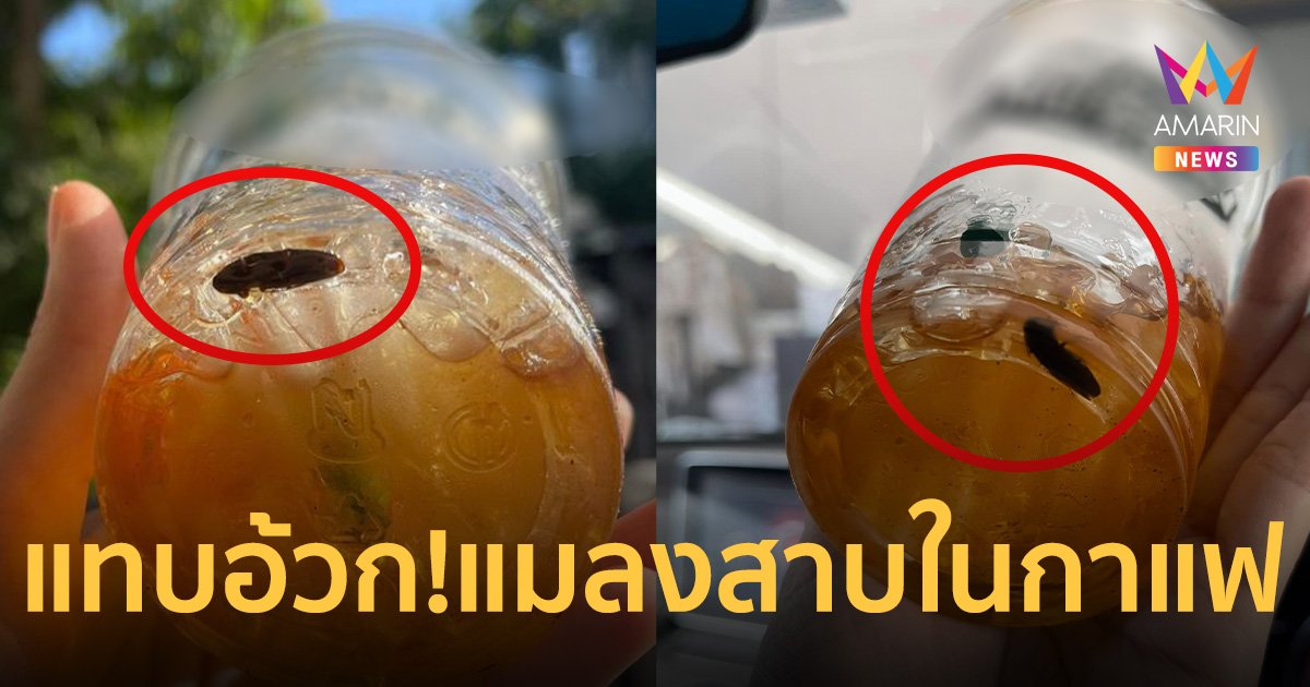 หนุ่มเกาหลีแทบอ้วก ซดกาแฟแบรนด์ดังเกือบหมดแก้ว เจอแมลงสาบตัวเบิ้ม!