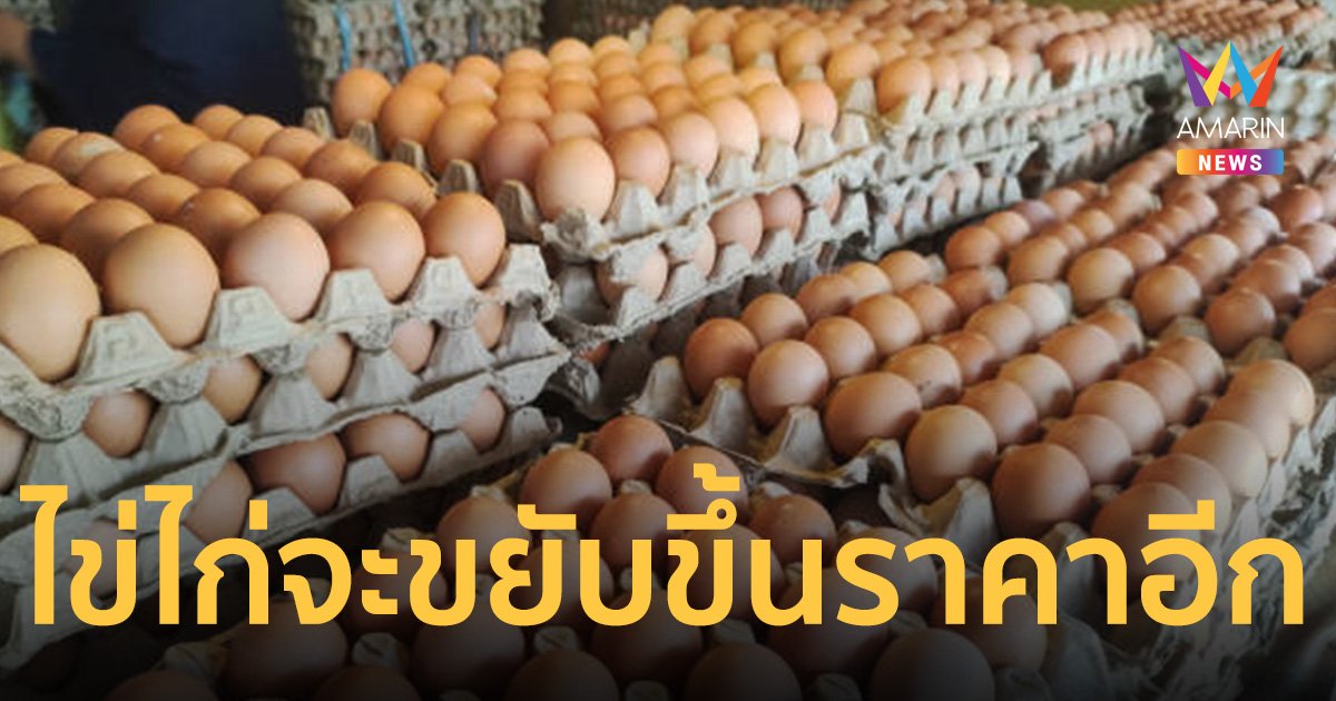 พ่อค้าแม่ค้าปราจีนบุรีหัวร้อน หลังรู้ ราคาไข่ไก่ จะขยับขึ้นอีกรอบ2