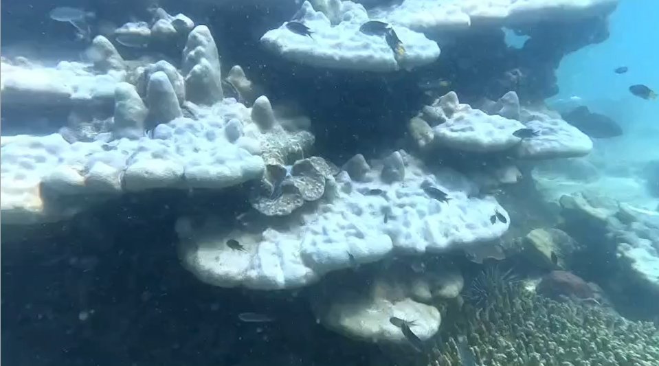 อุทยานแห่งชาติหาดนพรัตน์ธารา-หมู่เกาะพีพี