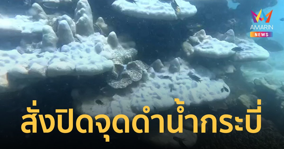สั่งปิดจุดดำน้ำหลายแห่งใน กระบี่ หลังพบ ปะการังฟอกขาวรุนแรง 5 จุด