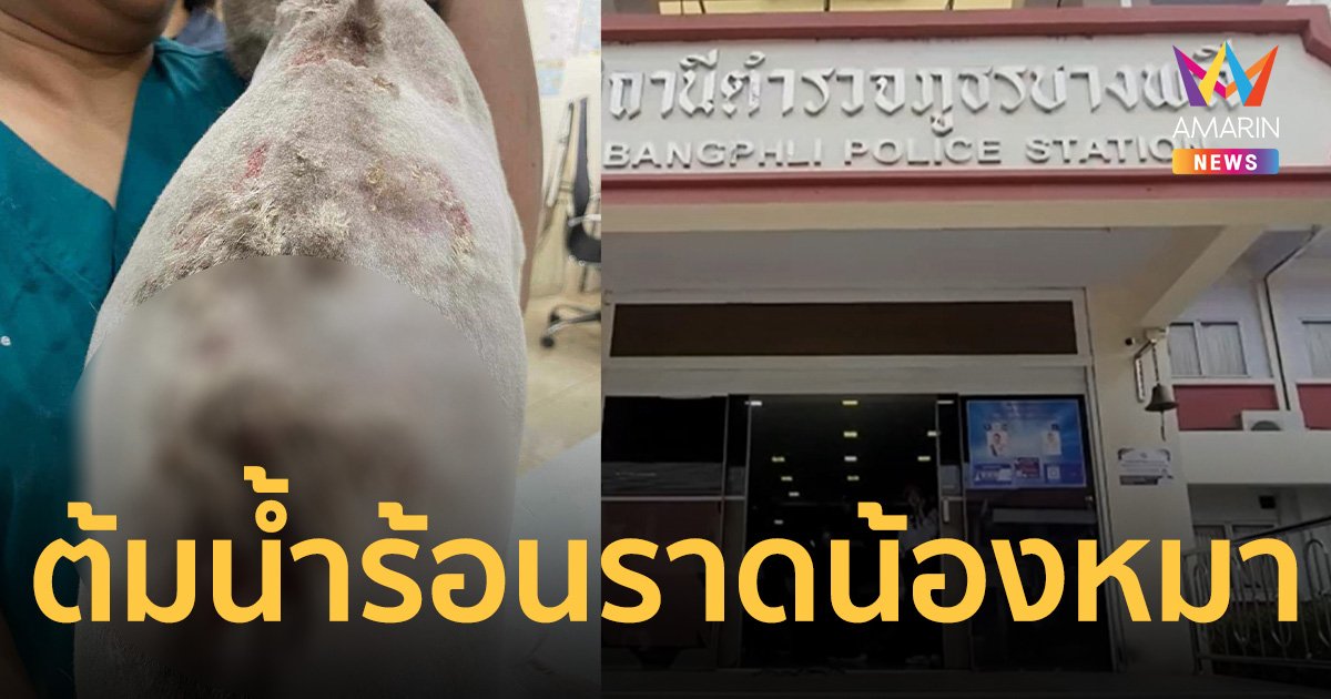 แจ้งความเอาผิดเจ้าของเก่า ใจโหดต้มน้ำร้อนราด น้องหมาไซบีเรียนเจ็บสาหัส