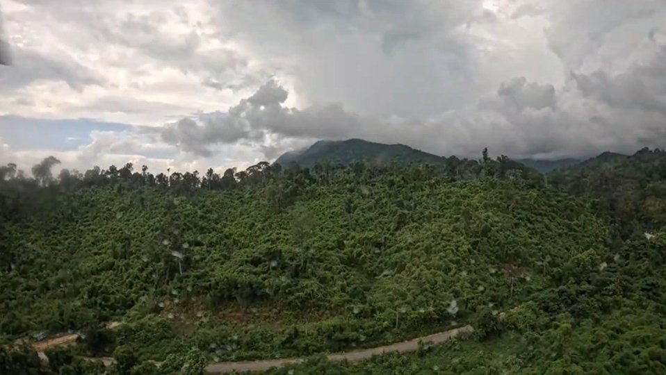 เร่งค้นหาผู้สูญหายใน อุทยานแห่งชาติภูสอยดาว ล่าสุดยังไม่เจอตัว แต่พบรอยช้างป่า