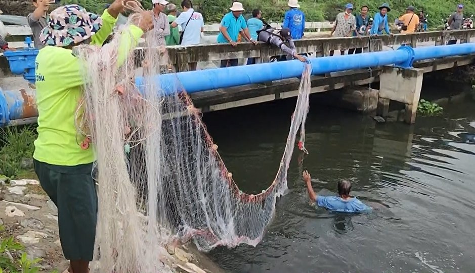 หัวหินระดมกำจัด ปลาหมอคางดำ ล่าสุดเจอในทะเลห่างฝั่ง 2 ไมล์