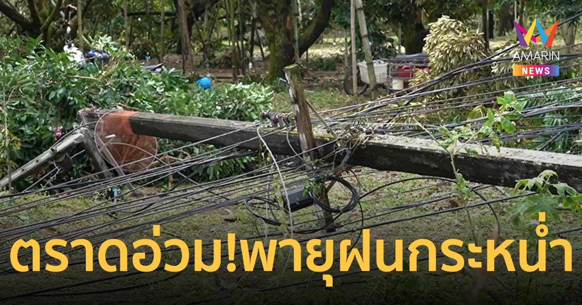 ตราดอ่วม! พายุฝนกระหน่ำ ต้นไม้โค่นล้มทับเสาไฟฟ้า ไฟดับนานกว่า 24 ชั่วโมง