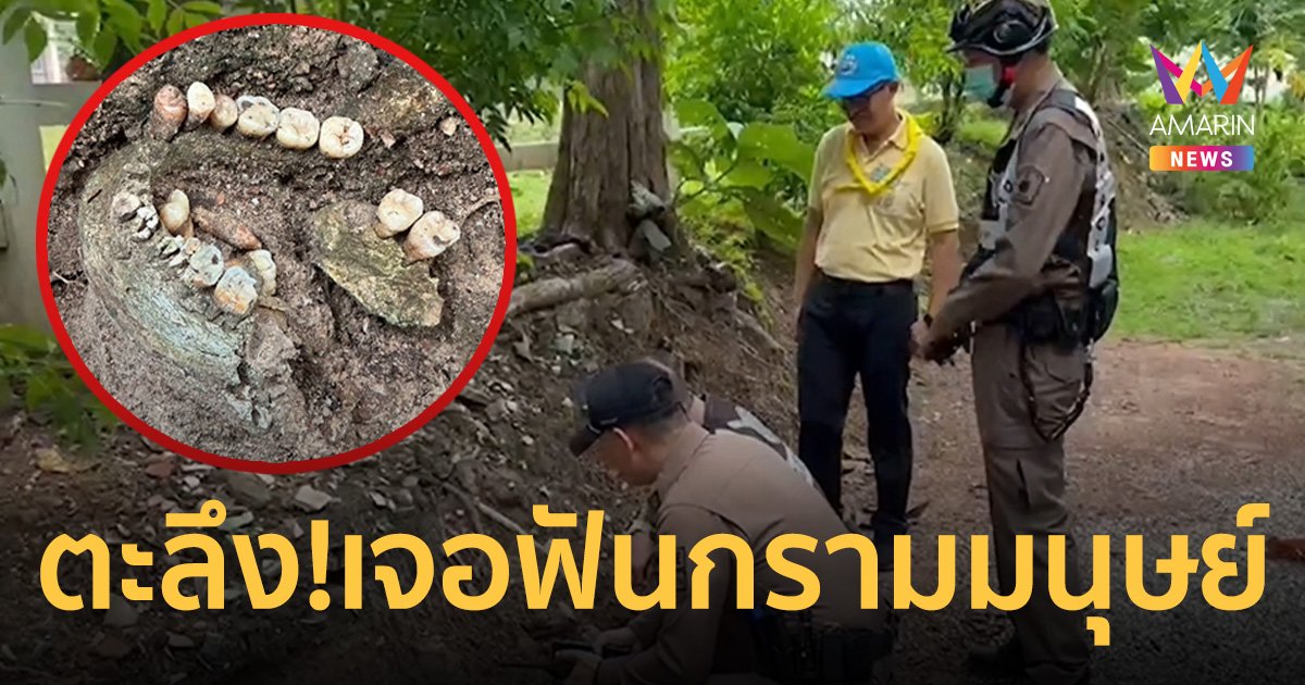 ตะลึง! พบ ชุดฟันกรามมนุษย์ถูกฝัง กลางร้านอาหารเมืองลำปาง