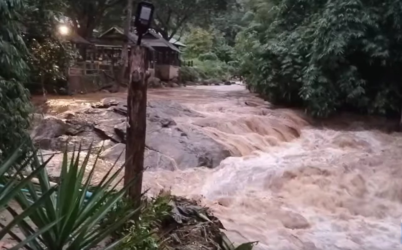 ปางช้างแม่สา