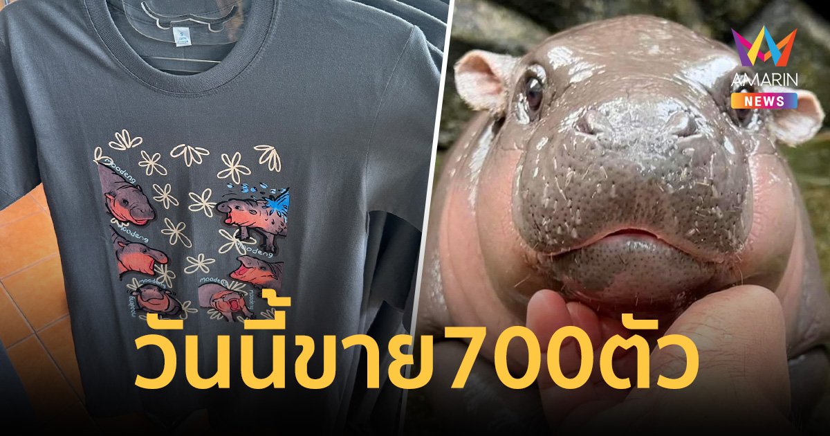 เปิดตารางเวลา น้องหมูเด้ง ตื่นกี่โมง? ด้าน สวนสัตว์เปิดขายเสื้อวันนี้ 700 ตัว