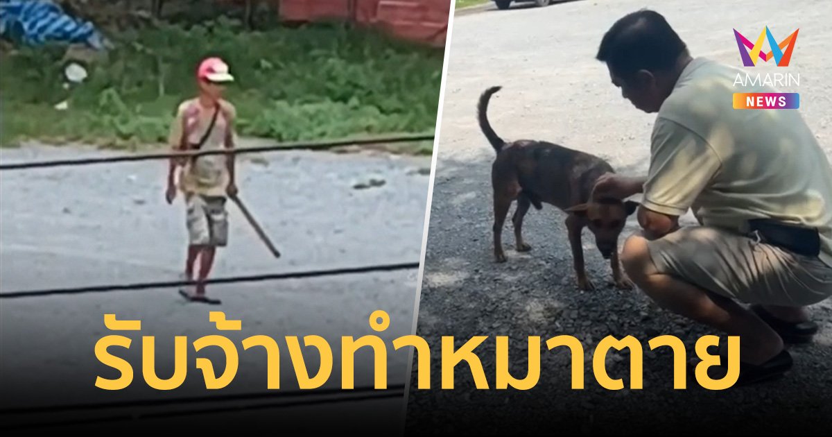 เพจดัง โพสต์คลิปวิดีโอ พร้อมคอมเมนต์ อาชีพใหม่ รับจ้างทำหมาตาย