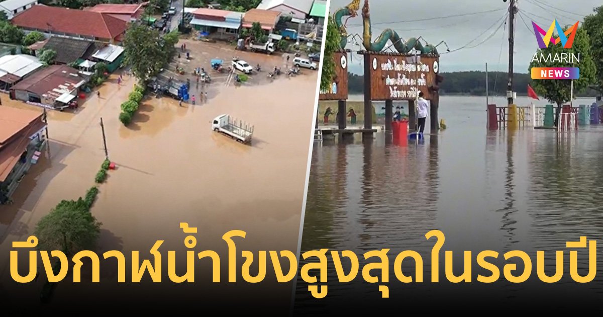 บึงกาฬน้ำโขงสูงสุดในรอบปี ทะลุ 13 เมตร ล้นทะลักท่วมลานพญานาค