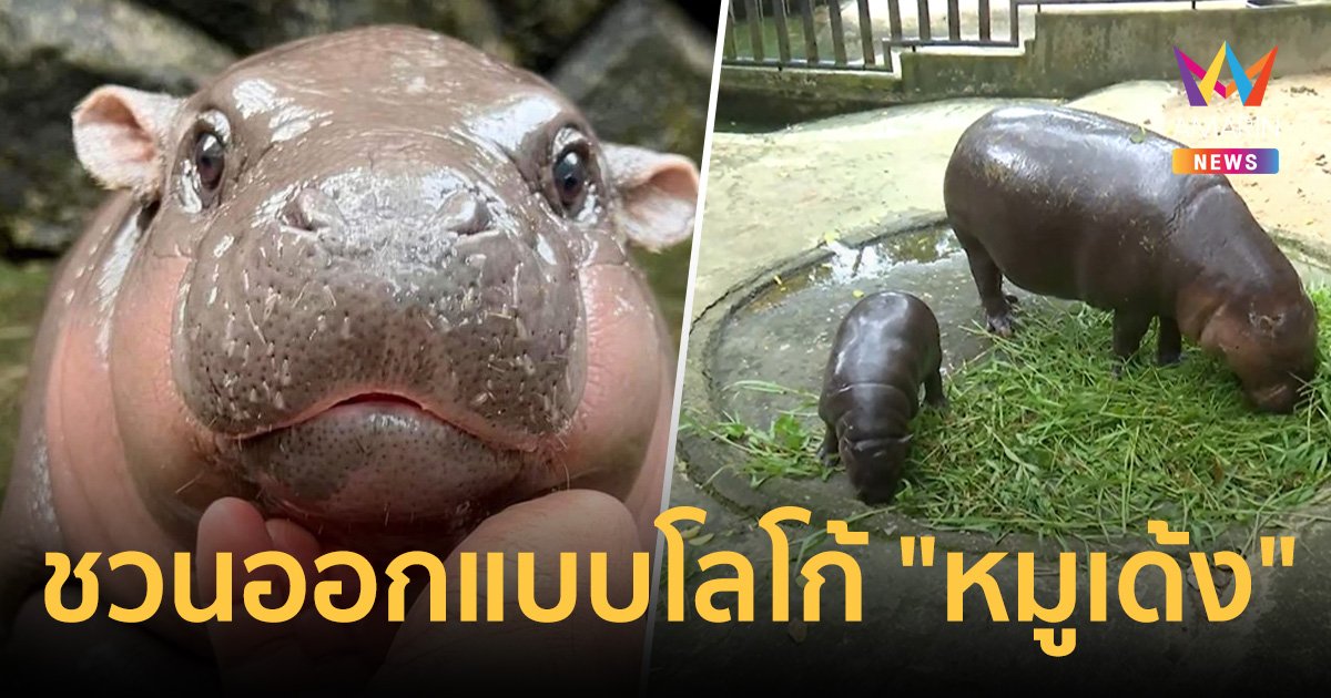 ชวน ปชช. ร่วมออกแบบโลโก้ "หมูเด้ง" ชิงเงินรางวัล 1หมื่นบาท