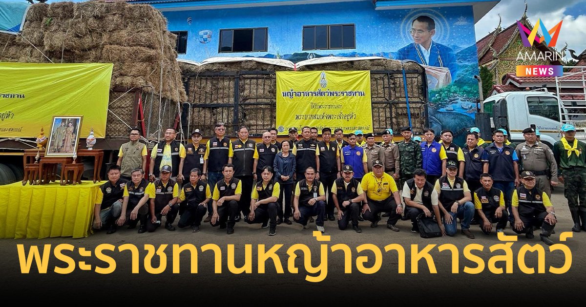 ในหลวง พระราชทานหญ้าอาหารสัตว์ 35 ตัน ให้ศูนย์บริบาลช้างแม่แตง