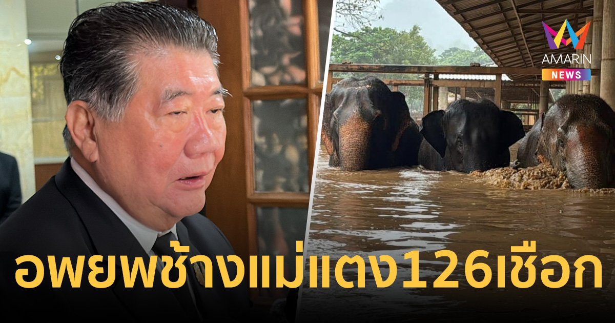 "ภูมิธรรม" เผย อพยพช้างแม่แตงแล้ว 117 เชือก เหลือ  9 เชือกกำลังช่วยอยู่