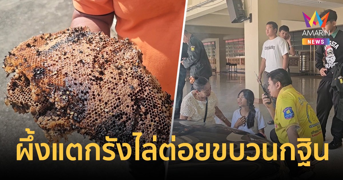 หนีวุ่น! ฝูงผึ้งหลวง-แตนนับแสนตัวตื่นเสียงเบส แตกรังไล่ต่อยขบวนกฐิน