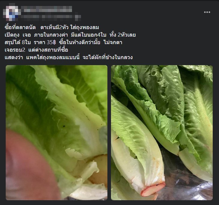 1666497636161